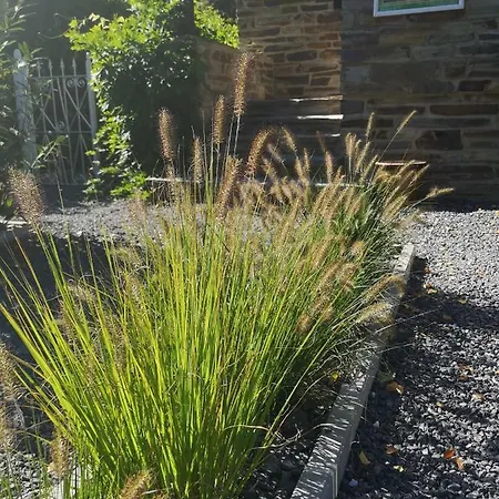 La Semois Et Moi 펜션 *