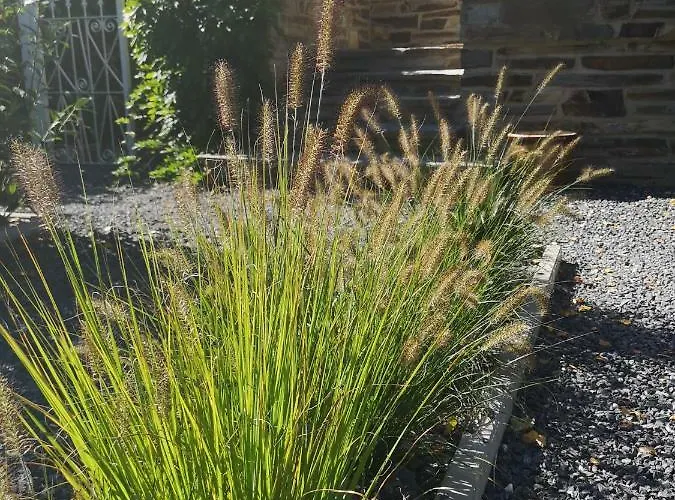 La Semois Et Moi Ferienhaus *